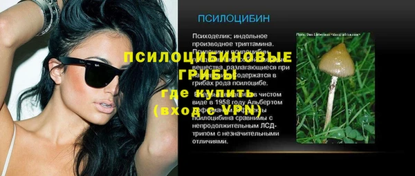 a pvp Заводоуковск
