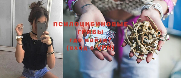 a pvp Заводоуковск