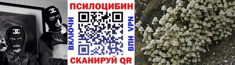 Галлюциногенные грибы прущие грибы  Назрань 